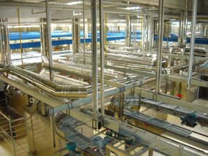 Jeremias DW-FU DW-AL EW-AL-BI